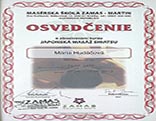 Certifikát - japonská masáž Shiatsu